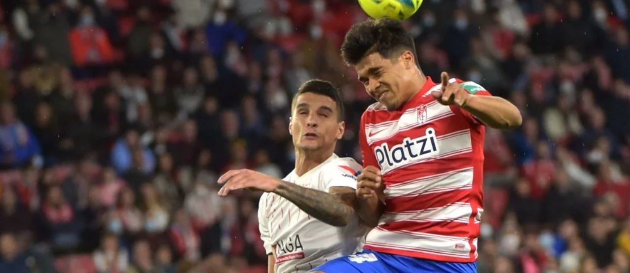 arezo el observador 2