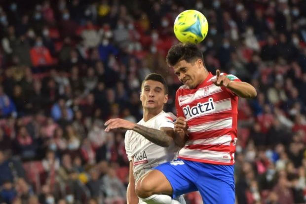 arezo el observador 2